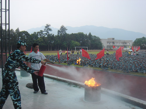 英国威廉集团官网